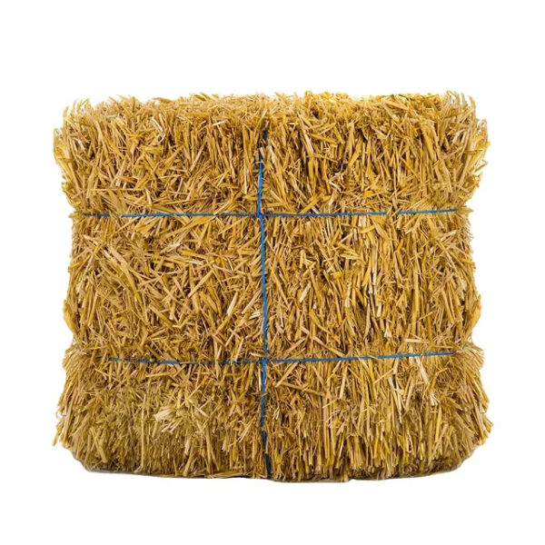 Wholesale Alfafa Hay Animal Feeding Stuff Alfalfa Hay/alfalfa hay Pellets Timothy Hay/ Alfafa in Bales Best Super Top Quality - Image 3