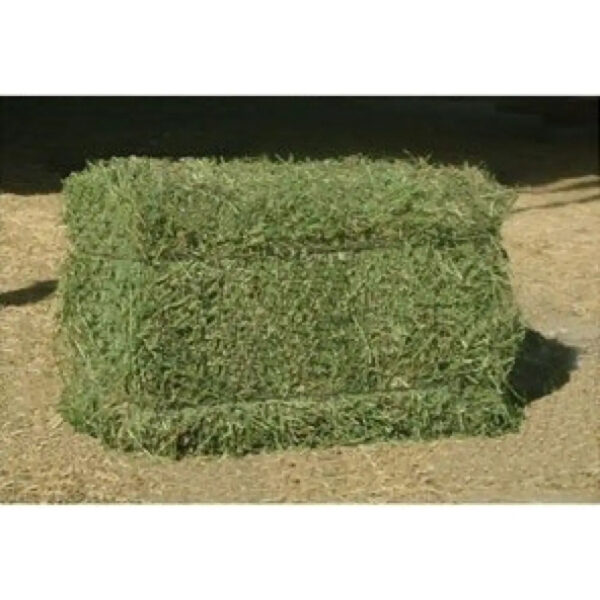 100% High Quality Alfafa Hay for Animal Feeding Stuff Alfalfa / Timothy / Alfalfa Hay for Sale - Image 3