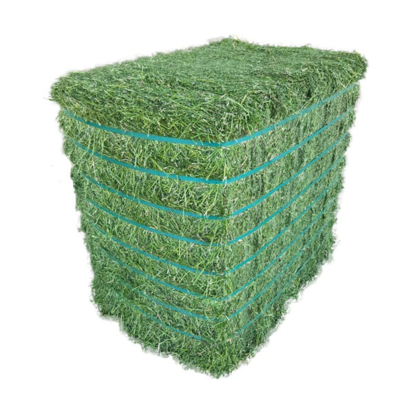 Great Quality Alfalfa Hay/Timothy Hay Green Color High in Fiber - Image 3