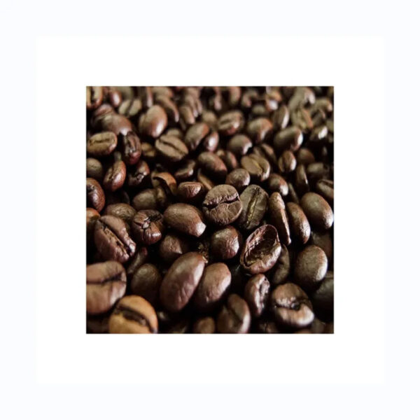 Wholesale coffee green beans with export Arabica coffee bean - Image 3