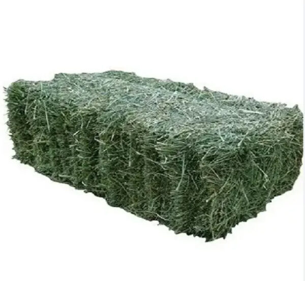 Bulk ALFAFA HAY READY for SUPPLY/ Alfalfa hay with High Protein for Animal Feeding in Bulk - Image 3