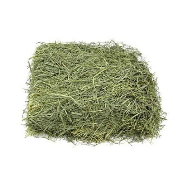 High Quality Alfalfa hay for Animal Feed Available at Factory Price Perfect for Bulk Wholesale and Livestock Farmers - Image 3