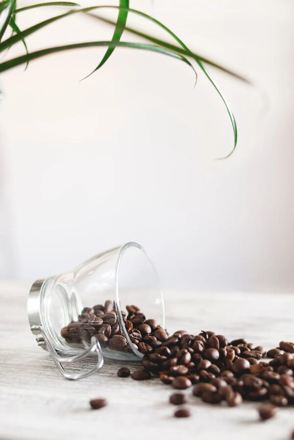Best Price The Coffee Roasted Bean in 99 Gold Data 99GD arabica robusta Organic Fresh high quality - Image 3