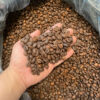Vietnamese Robusta Coffee Green Beans ready to export around the world green beans coffee 100% Pure Dark Roasted Robusta - Image 3