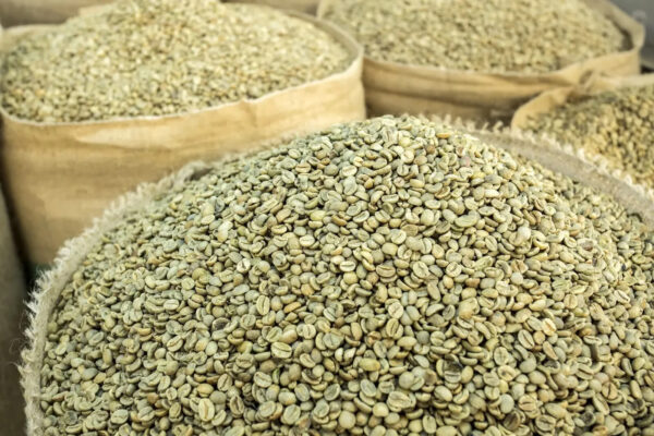 Cheap arabica coffee beans premium coffee supplies Raw arabica coffee beans - Image 3
