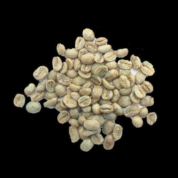 Natural Robusta coffee and Arabica Coffee Beans Wholesale - Image 3