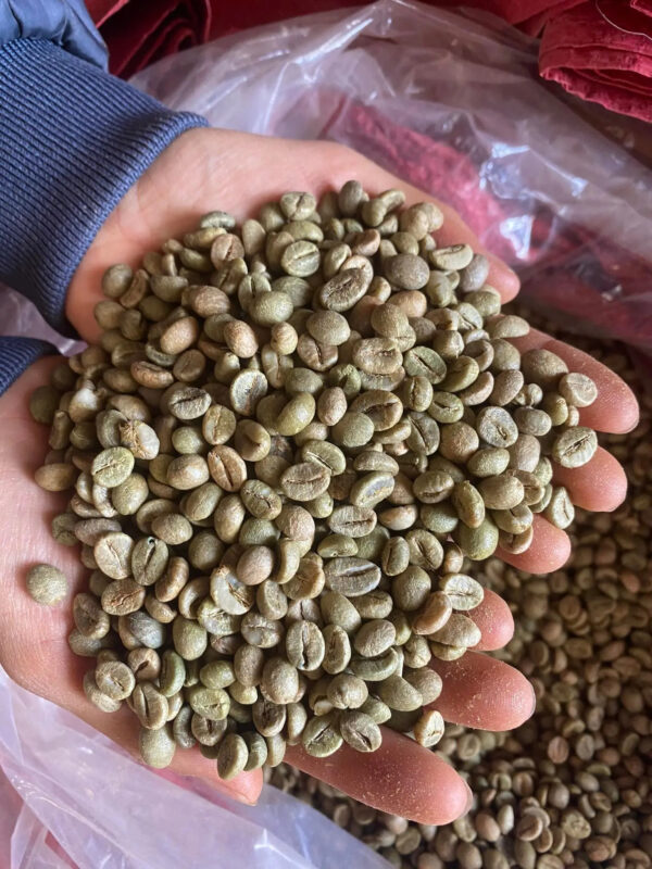 100% Top Quality Roasted Arabica Coffee Bean Best Roasted Coffee Beans for Drinking - Image 6