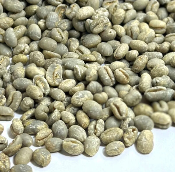 100% Premium Organic Arabica Robusta Green Coffee Bean Washed raw and Roasted Vietnam Sweet Flavor Brazilian Manufacturer - Image 3