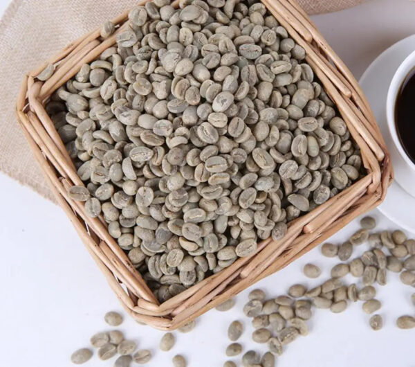 Natural dried raw Coffee beans unprocessed Coffea arabica seeds for sale - Image 3