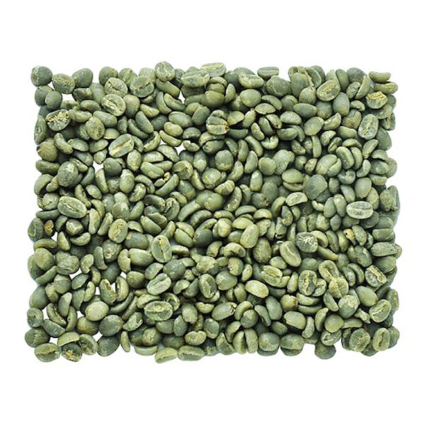 Coffee Beans Specialty Green Coffee Beans 30Kg Superior Arabica Coffee Beans Washed Process Green for Sale - Image 3
