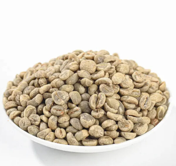 For Sale Yunnan Arabica Green Coffee Beans - Image 4