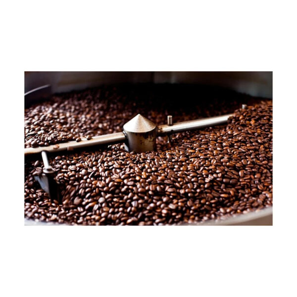 Top Quality Arabic Coffee Bean Best Ready Raw Arabic Coffee Beans - Image 4