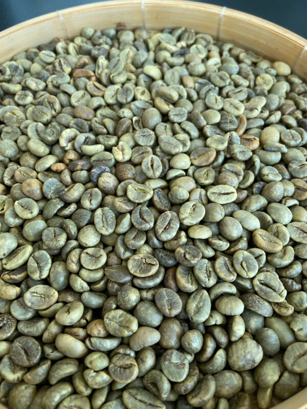 Discount Vietnam Robusta Unwashed/Clean/Wet Polished Screen SC16 / SC18 High quality Coffee - Image 4