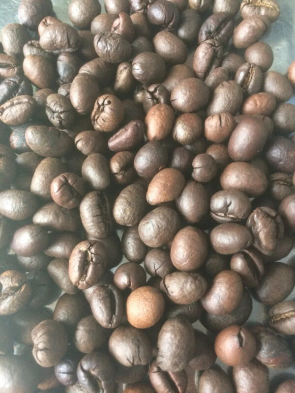 Wholesale Price Robusta Coffee Bean Organic Fresh Raw Roasted High quality Arabica Traditional Coffee - Image 4