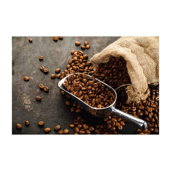 Fresh Produce Arabica Coffee Beans supplier Robusta Coffee Beans Green Coffee Beans Wholesale Delivery - Image 4