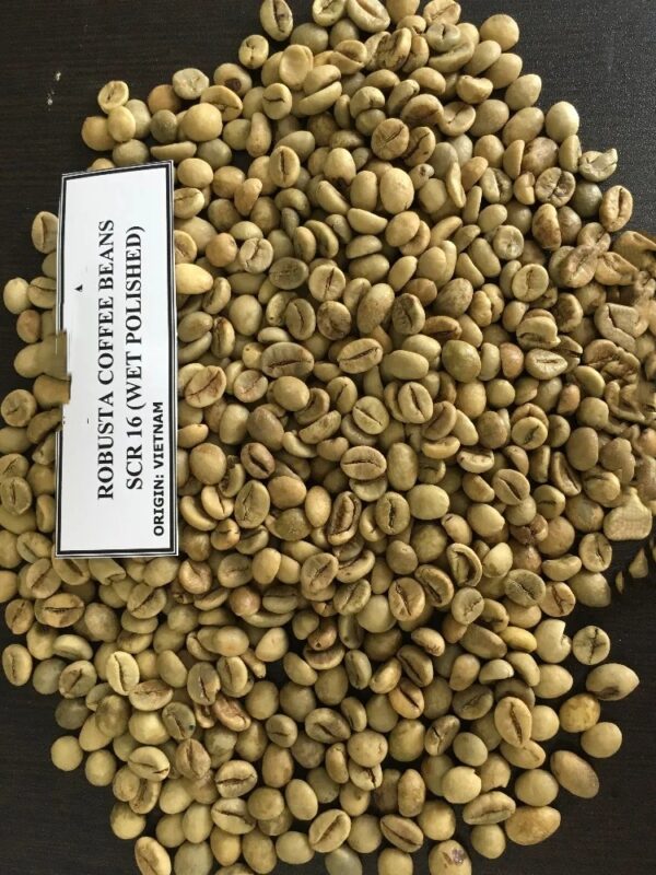 Sell Arabica Coffee Bean - Image 3