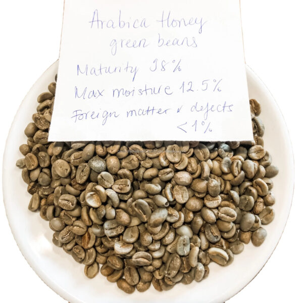 Brazil Green Arabica and Robusta Coffee Beans / Raw Coffee Bean Green Coffee Natural Arabica. - Image 4