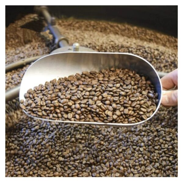 Vietnam Robusta And Arabica Green Coffee Beans High Quality Robusta Coffee good price by Vietnam - Image 5