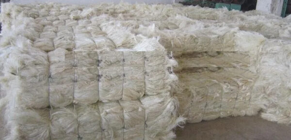 whole sale 100% quality sisal fibre / raw sisal fibre material ready - Image 5