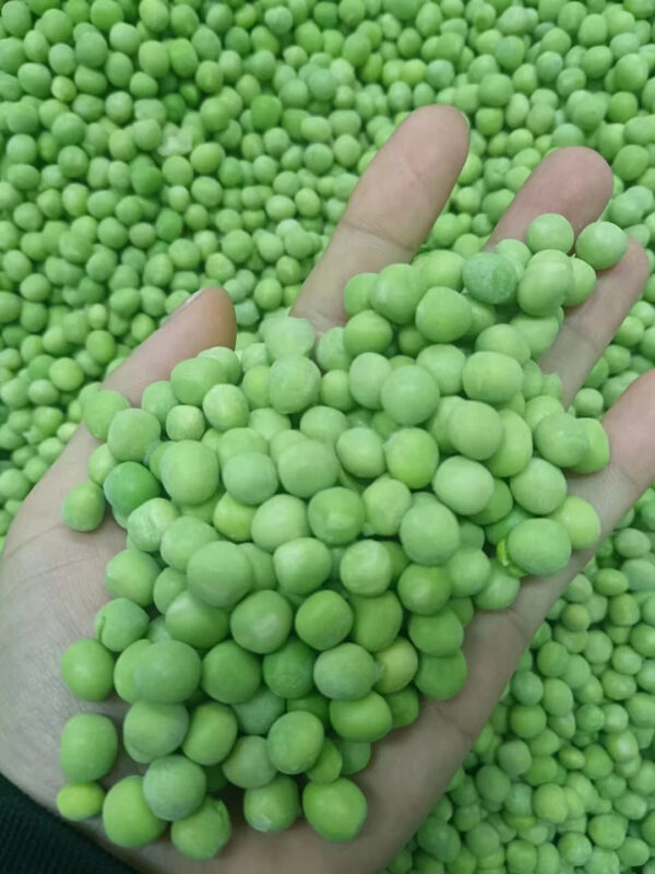 The Best-selling High-quality And Nutritious Frozen Green Peas Wholesale - Image 4