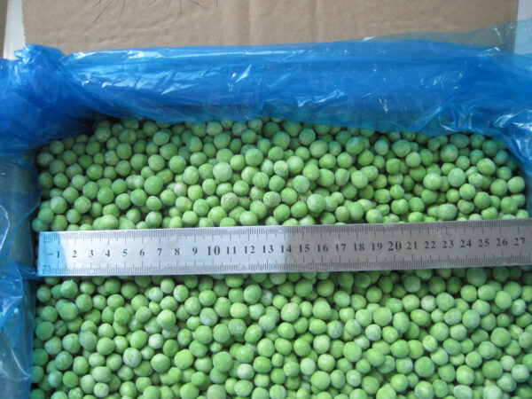 IQF Frozen Green Peas Diam 8-11mm Wholesale BRC Approved Premium Quality Frozen Vegetables - Image 4