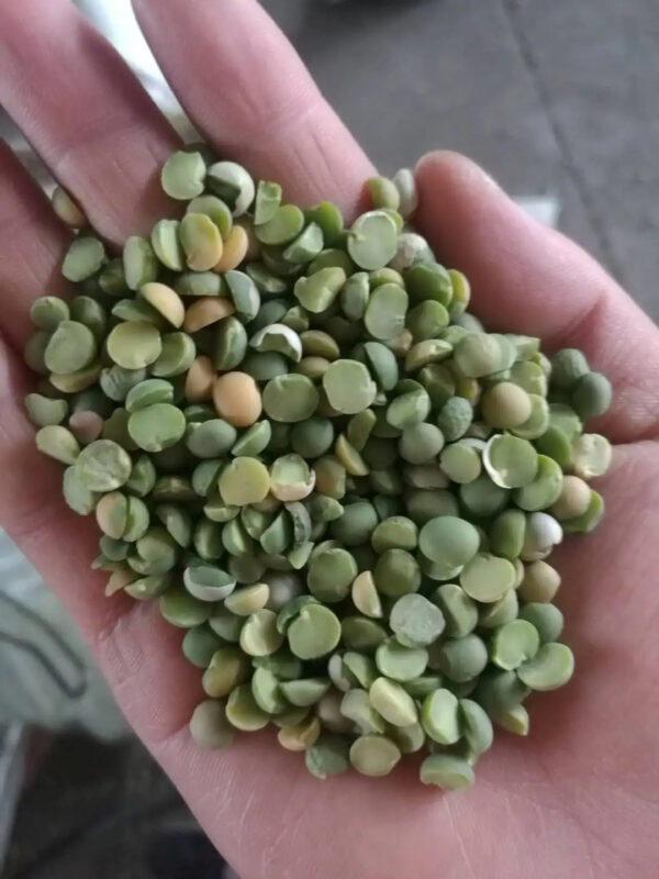 Green Beans Split Dried Bulk Green Peas Dry - Image 4