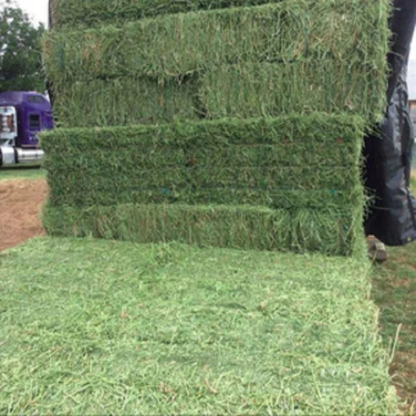 Wholesale Alfafa Hay Animal Feeding Stuff Alfalfa Hay/alfalfa hay Pellets Timothy Hay/ Alfafa in Bales Best Super Top Quality - Image 4