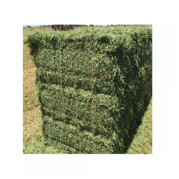 Top Quality Alfafa Hay for Animal Feeding Stuff Alfalfa / Alfalfa Hay - Image 4