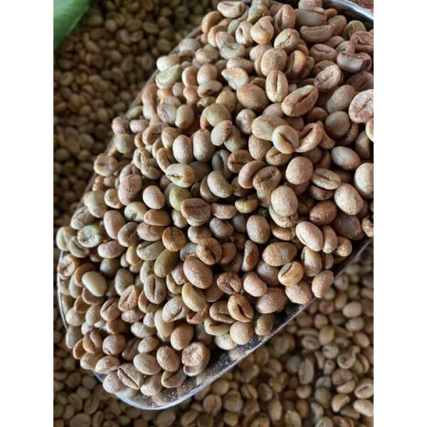 Best Price New crop 2025 Vietnam green coffee beans Robusta coffee bean fast shipping cheap - Image 5