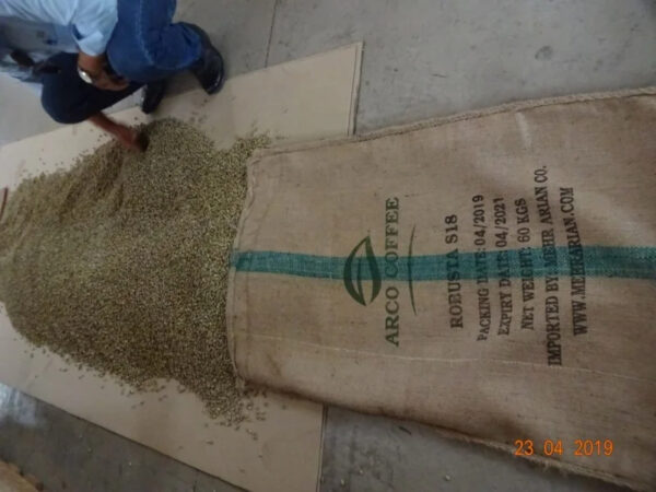 VIETNAM ROBUSTA COFFEE BEANS UNROASTED S16 WET POLISHED NEW CROP WHOLESALE LOW PRICE TOP DIRECT FARMS FACTORY - Image 6