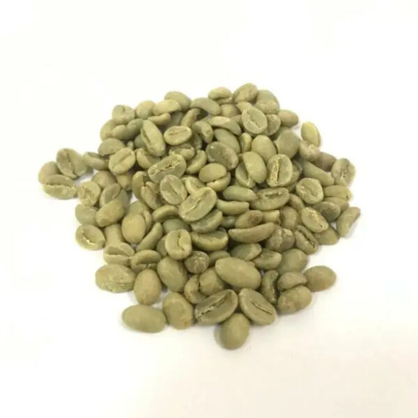 COLUMBIAN BEST SUPREMO GREEN COFFEE BEANS 100% NATURAL ARABICA AGROWELL Coffee Beans Arabica Raw Coffee - Image 4