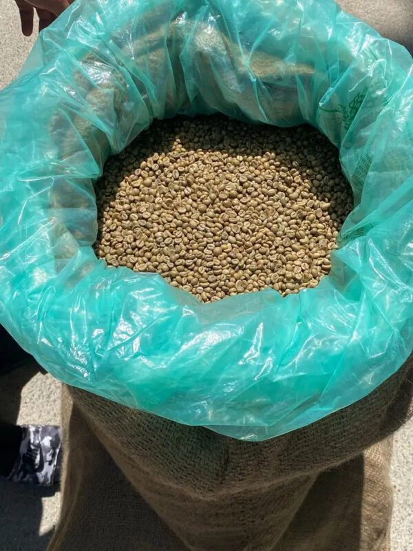 Factory sales Robusta Coffee Beans Unroasted Green - Image 4