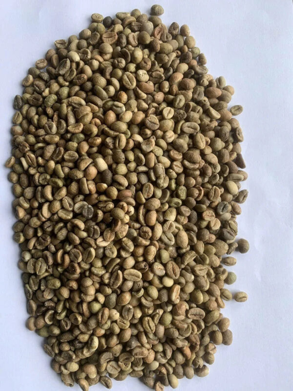 Top Selling Whole Green Coffee Beans Robusta & Arabica with Premium Quality at Competitive Prices from Vietnam - Image 4