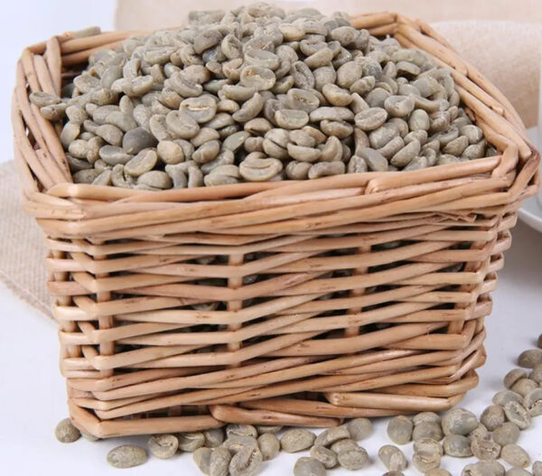 Natural dried raw Coffee beans unprocessed Coffea arabica seeds for sale - Image 4