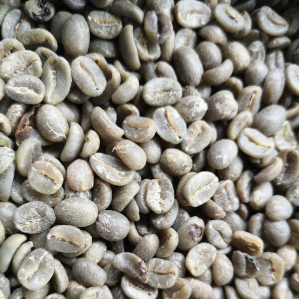 Coffee Beans Top Quality Dried Organic Arabica/Robusta Non-GMO at Wholesale Price - Image 4