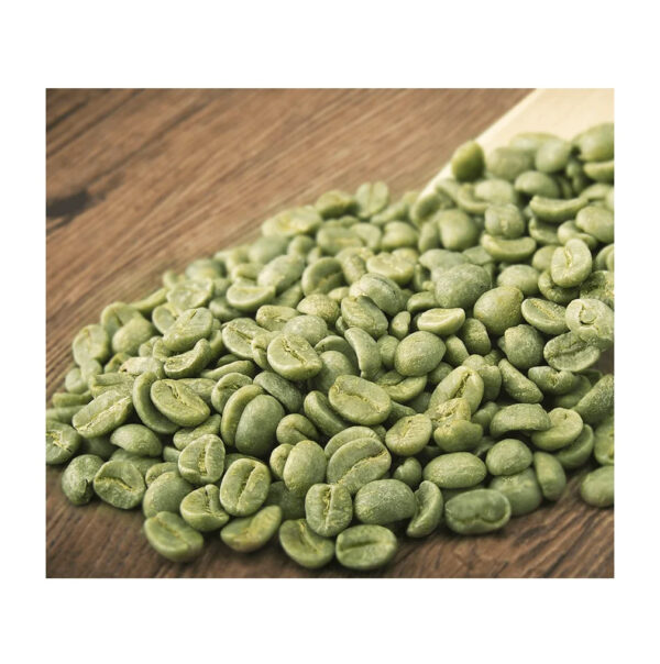 Robusta Coffee Robusta Coffee Price Brazil Washed Process Quality Robusta Green Coffee Beans Raw Beans Wholesale - Image 4