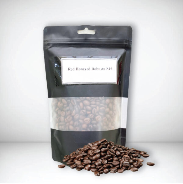 Coffee products green coffee beans robusta common coffe beans robusta green coffee - Image 4