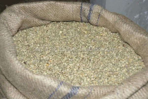 VIETNAM ROBUSTA COFFEE BEANS SIZE 18 WET POLISHED NEW CROP WHOLESALE LOW PRICE TOP DIRECT FARMS FACTORY - Image 5