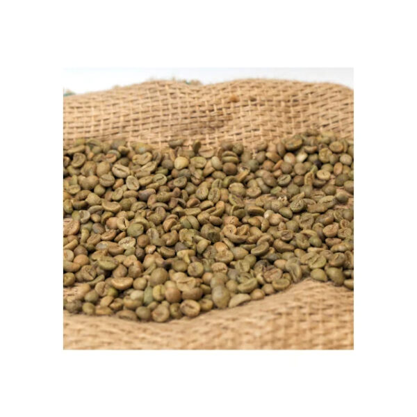 Best Seller Customized Packaging Robusta Coffee Beans Delicious Vietnamese Green Raw Coffee Directly Vietnam Manufacturer Best - Image 5