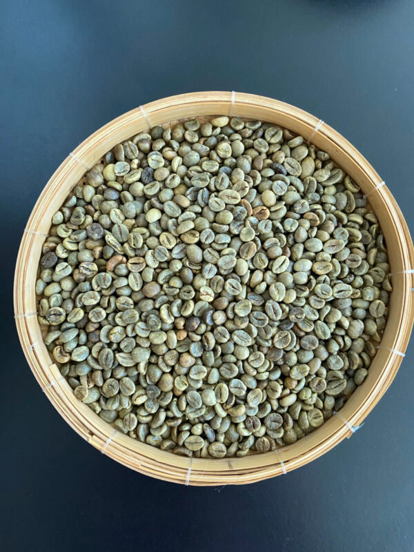 Discount Vietnam Robusta Unwashed/Clean/Wet Polished Screen SC16 / SC18 High quality Coffee - Image 5