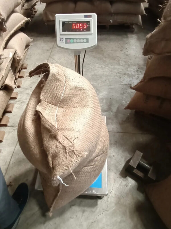 NEW CROP 2024 VIETNAM ROBUSTA COFFEE BEAN SCR 13 16 18 FROM VIETNAM - Image 5