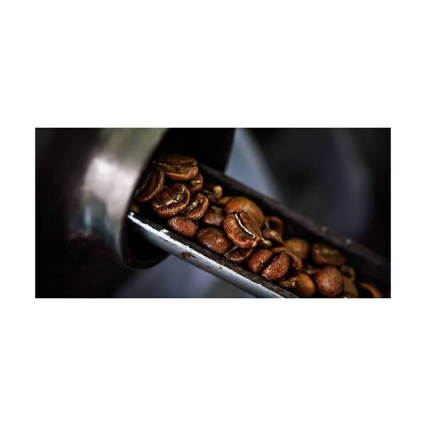Wholesale Premium High Quality Raw Coffee Beans Directly from The Farm Grade 100% Arabic Green Coffee Beans - Image 5