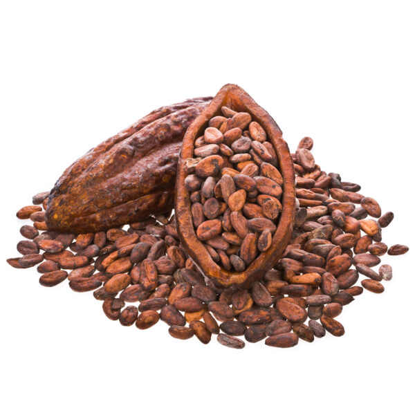 Roasted Arabica Coffee Beans from Africa 25kg Bags Max - Image 5