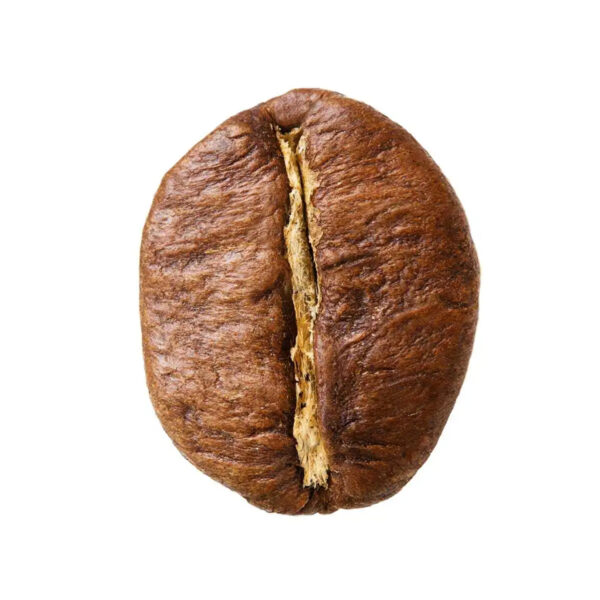 Graded Arabica Green Coffee Beans High Quality Catimor Arabica Green Coffee Beans Fully Washed Processing S16/18 from Vietnam - Image 5