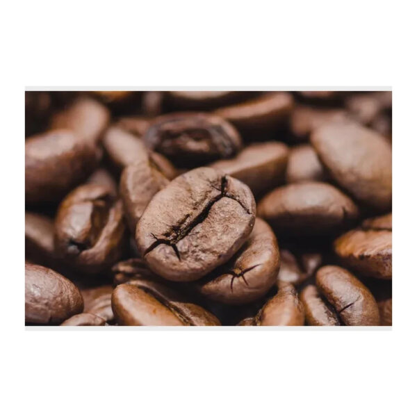 High Quality Raw Roasted Coffee Beans Native Species Of Ethiopia Bulk Coffee Beans Wholesale Low Price For Sale - Image 5