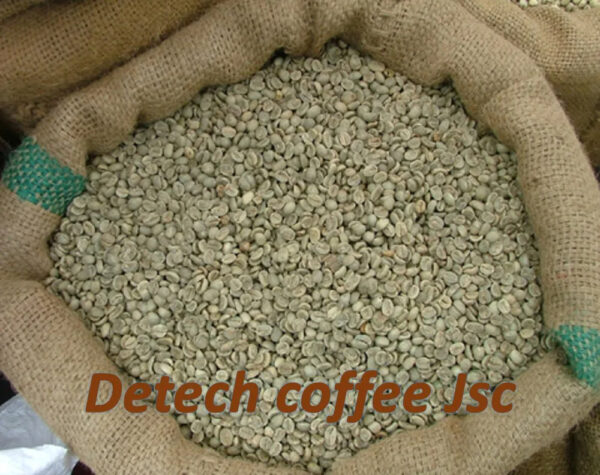 Single Vietnamese origin Arabica and Robusta green bean coffee with cheap price and low MOQ Screen 16 Screen 18 with fully wash - Image 6