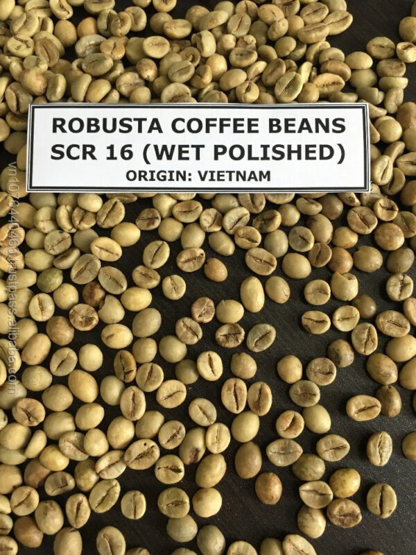 Sell Arabica Coffee Bean - Image 4