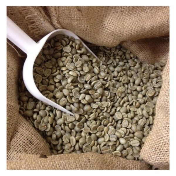 Vietnam Robusta And Arabica Green Coffee Beans High Quality Robusta Coffee good price by Vietnam - Image 4