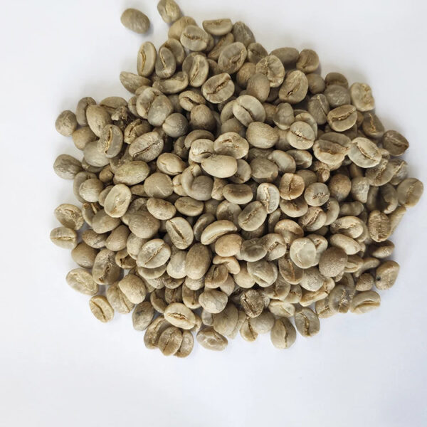 Hot sale arabica coffee bean price with wholesale arabica green coffee beans - Image 5