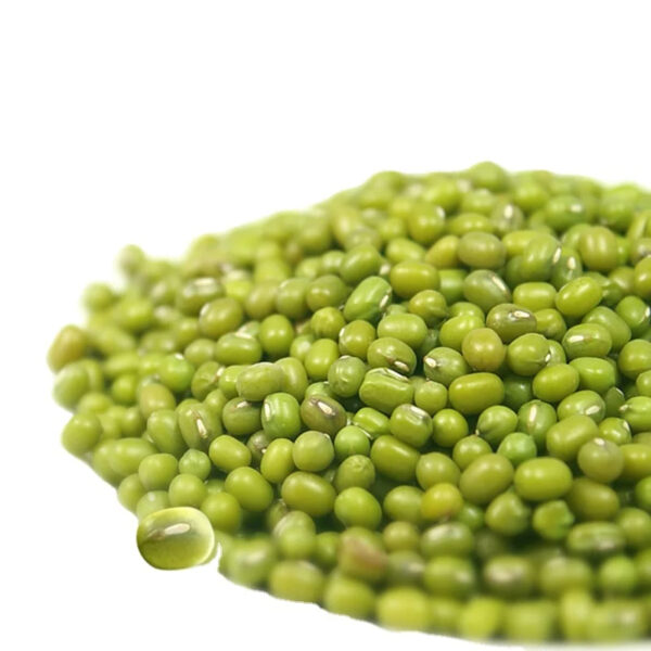 Best Quality Sprouted Green Mung Beans Myanmar Organic Mung Bean Seeds - Image 5